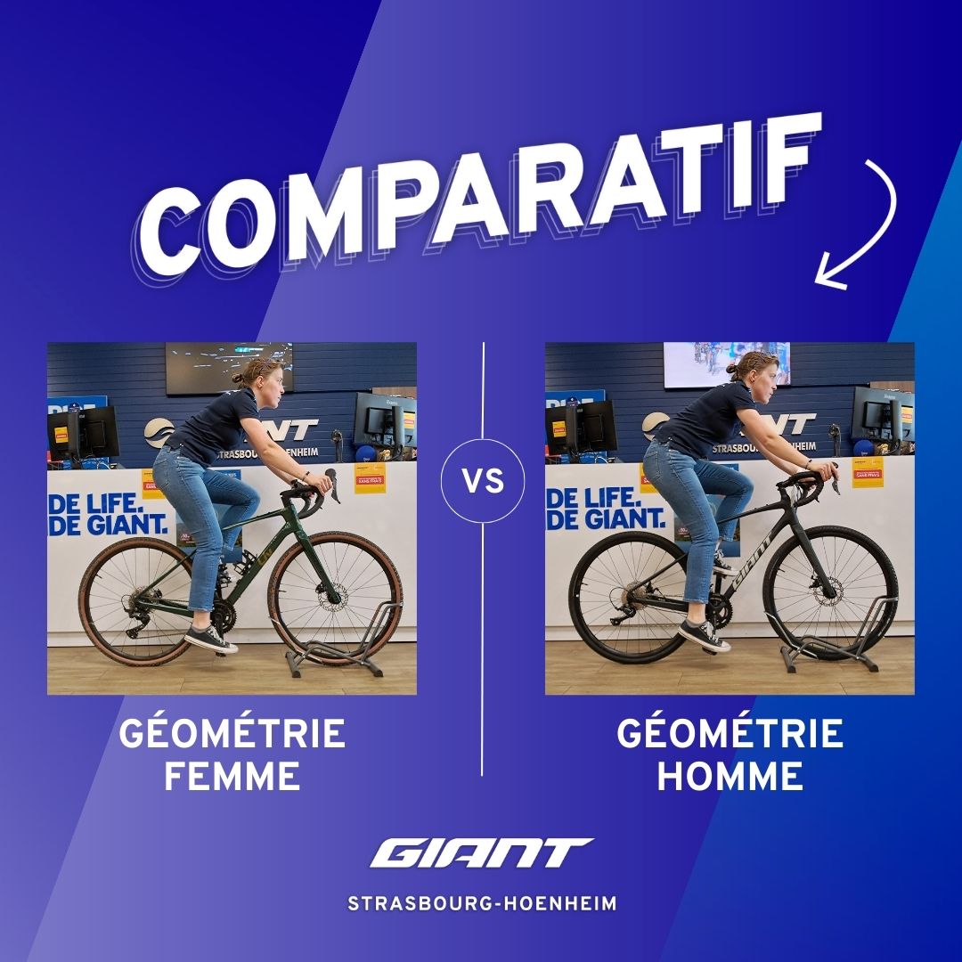 Vélo femme vs vélo homme quelles différences de géométrie